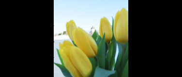 Event-Image for 'Tag des offenen Schlosstors'