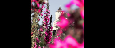 Event-Image for 'Tag des offenen Schlosstors'