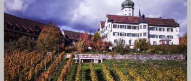 Event-Image for 'Tag des offenen Weinkellers'