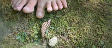 Event-Image for 'Tanz der Elemente - Verbindung mit Körper und Natur'