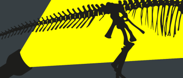 Event-Image for 'Taschenlampenführung: Black Friday Special'