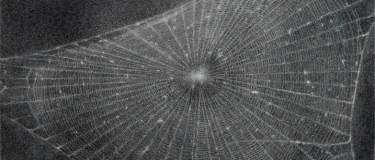 Event-Image for 'Visita pública en español «Vija Celmins»'