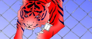 Event-Image for '«Tattoo Circus Bern»'