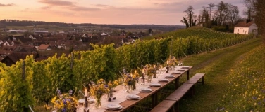Event-Image for 'Tavolata in den Reben - Ein kulinarischer Logenplatz'