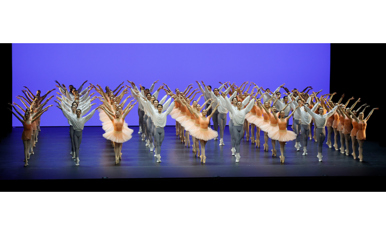 Event-Image for 'taZ &ndash; Curtain Up!'