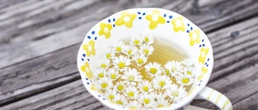 Event-Image for '&Ouml;kumenische Fastenwoche'