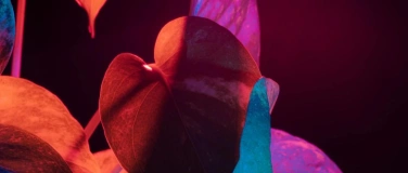 Event-Image for 'Tempelnacht - ein Raum der Sinnlichkeit'