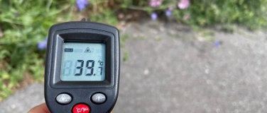 Event-Image for 'Klimaspaziergang in Suhr'