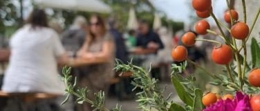 Event-Image for 'Herbsfest im Weinbaumuseum'
