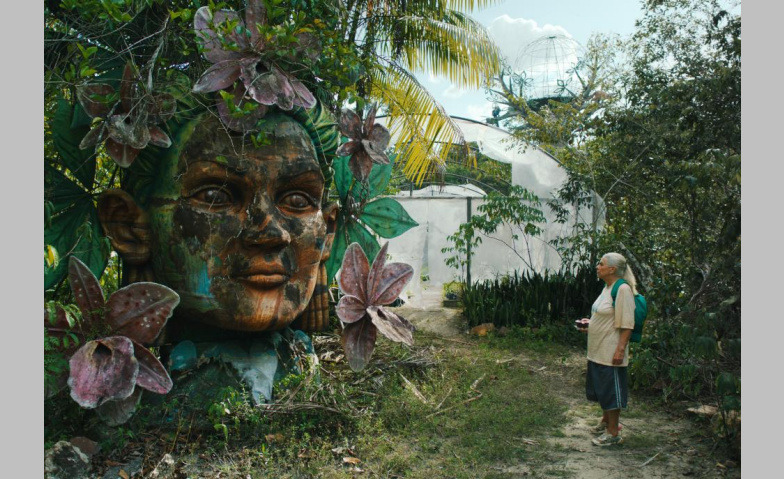 Event-Image for 'Tereza – O último azul'