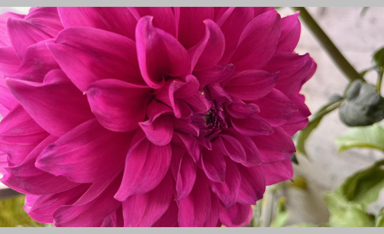 Event-Image for 'Theater der Kulturen'