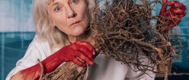 Event-Image for 'ZINNOBER! - Theater Marie'