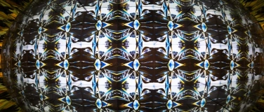 Event-Image for 'L&rsquo;Alimentarium lance &laquo; Alima &raquo;'