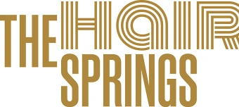 Organisateur de TheHairsprings Wintertalks