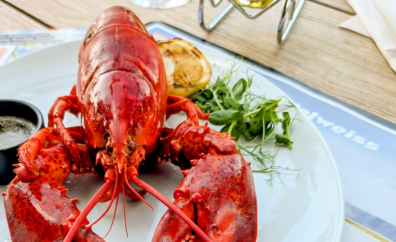 Event-Image for 'Nova Scotia Hummer-Woche mit &laquo;The Kilted Chef&raquo;'