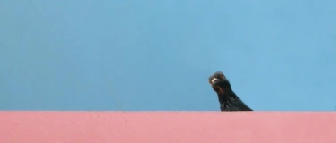 Event-Image for '29 M&uuml;nsingen maximal  -  Guido Klumpe'