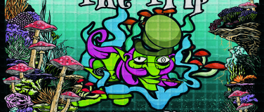 Event-Image for 'The Trip // W: Day Din & Stryker'