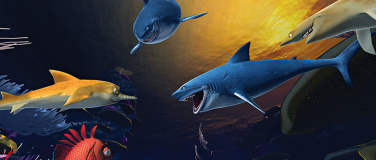 Event-Image for 'Der Mond, die Gezeiten und zwei Fische Kaluoka’Hina'