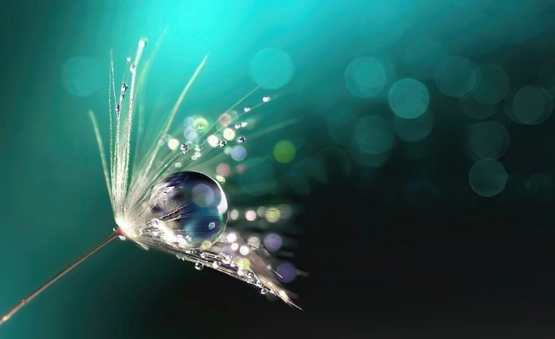 Event-Image for 'Dein SEIN Retreat &ndash; Akasha Chronik'