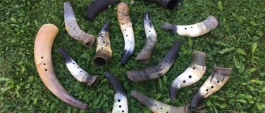 Event-Image for 'Tierhorn bauen'