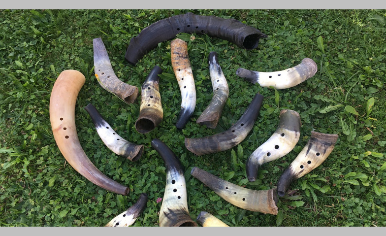 Event-Image for 'Tierhorn bauen'