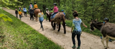 Event-Image for 'Tierischer Waldspaziergang'