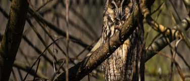 Event-Image for 'Fotokurs Natur- und Tierpark Goldau'