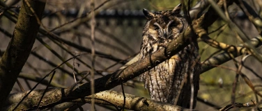 Event-Image for 'Fotokurs Natur- und Tierpark Goldau'