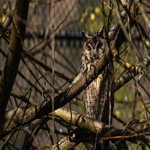 Fotokurs Natur- und Tierpark Goldau Natur- und Tierpark Goldau, Parkstrasse 40, 6410 Goldau Tickets