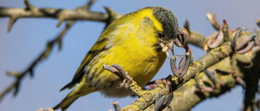 Event-Image for 'Tierwelt im Haberfeld mit J&uuml;rgen K&uuml;hnis'