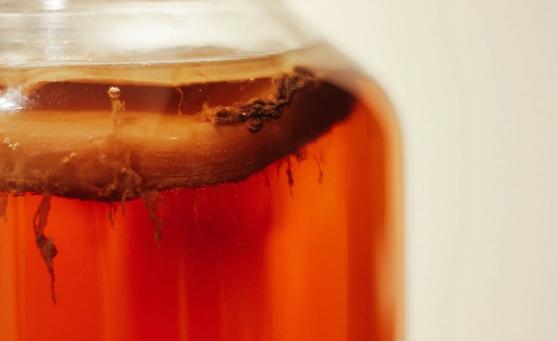 Event-Image for 'Kombucha selbst machen Workshop'