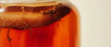 Event-Image for 'Kombucha selbst machen Workshop'
