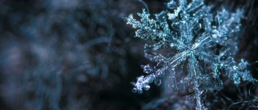 Event-Image for 'Winterkonzert'