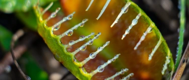 Event-Image for '25. Vierwaldstätter-Psychiatrietag'