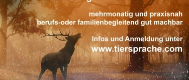 Event-Image for 'Tierkommunikation Ausbildung mit Diplomabschluss'