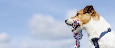 Event-Image for 'Freilichttheater "Der Diener zweier Herren"'