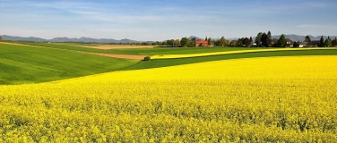 Event-Image for 'Total Lokal - der 5km Koch-Workshop Fr&uuml;hling'