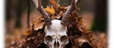 Event-Image for 'Viktorianisches Totenfest – Samhain'