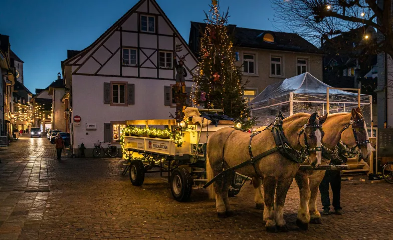 Kutschenfahrten Rheinfelden: Feldschlösschen - Schifflände Feldschlösschen Brauwelt, Feldschlösschenstrasse 32, 4310 Rheinfelden Billets