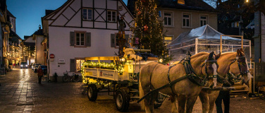 Event-Image for 'Kutschenfahrten Rheinfelden: Feldschlösschen - Schifflände'