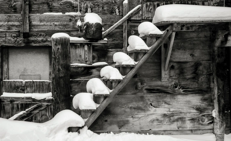 Event-Image for 'Entdecken Sie die Kunst der Schwarz-Weiss-Fotografie'