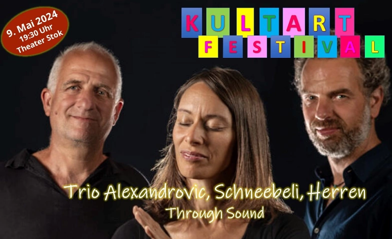 Through Sound - Trio Alexandrovic, Schneebeli, Herren ${singleEventLocation} Billets