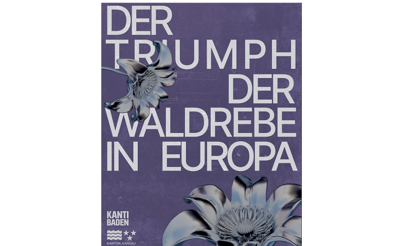 Event-Image for 'Der Triumph der Waldrebe in Europa &ndash; Clemens Setz'