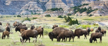 Event-Image for 'KANADA WOCHEN: The Great American West'