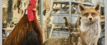 Event-Image for 'Türe auf!'