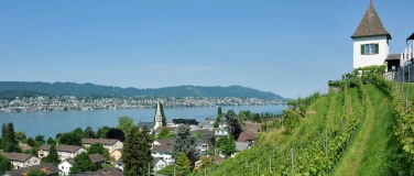 Event-Image for 'Investorinnen-Club 2025: Sommerfest'
