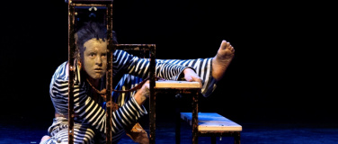 Event-Image for 'Tu:tu: - Premiere'