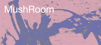 Organisateur de MushRoom &ndash; Winter Edition 2026