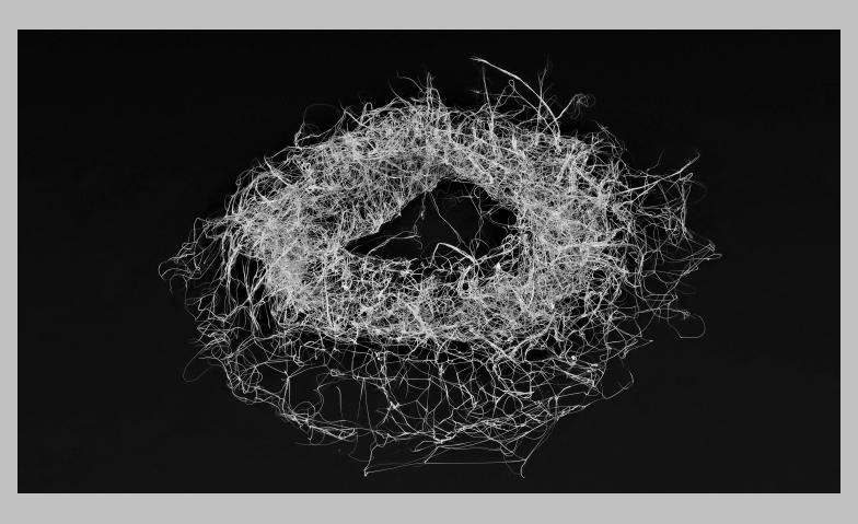 Event-Image for '&Uuml;ber die Verh&auml;ltnisse'