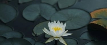 Event-Image for 'The Peacemakers'